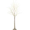 6 Foot Tall Prelit Birch Tree, Warm White Leds