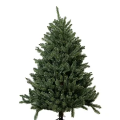 4.5Ft Glenbrook Fir Blue Tree #114-Grb-45