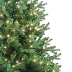 Kurt Adler 5-Foot Warm White Led Jackson Pine Tree