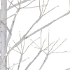 Kurt Adler 3-Foot White Birch Tree With Warm White Led 8 Function Lights