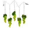 Kurt Adler 100-Light Green Led Grape Light Set With 5 Grape Bunches