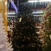 Puleo International 7.5Ft Shiny Black Evergreen Spruce Tree In Ww #114-Esbk-75Qlwf3K7