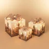 Set Of 3 Holiday Vine Christmas Present Led Outdoor Yard Decor