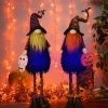 Set Of 2 Lighted Whimsical Halloween Gnomes With Flexible Legs