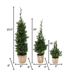 Set Of 3 Slim Potted Christmas Trees